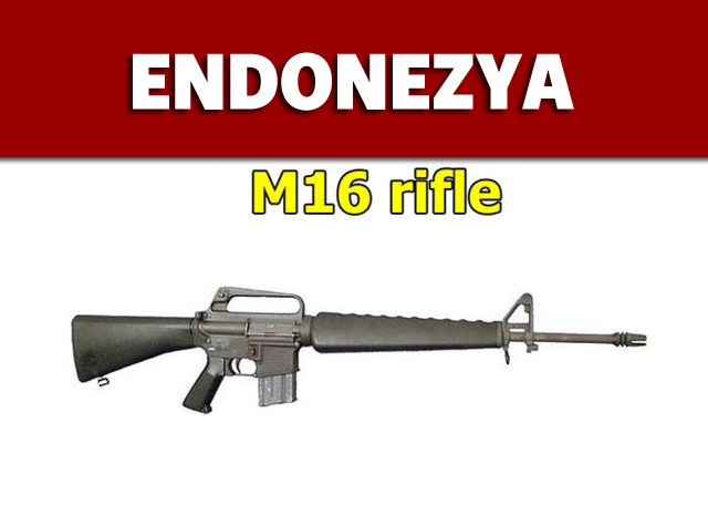 Dünyanın en güçlü ordularının kullandığı tüfekler - 34