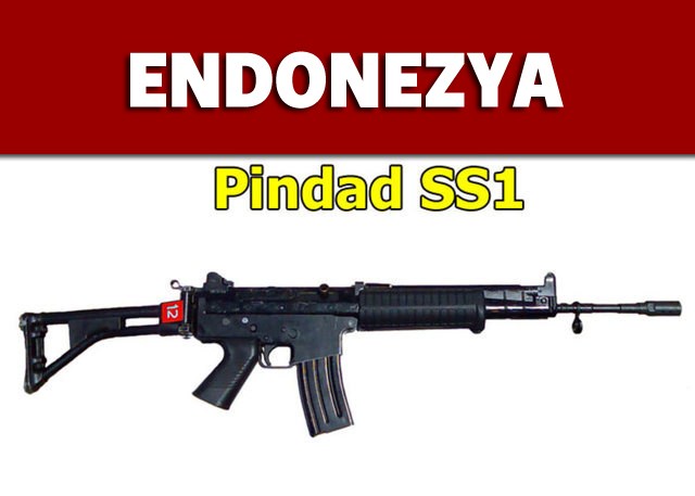 Dünyanın en güçlü ordularının kullandığı tüfekler - 35