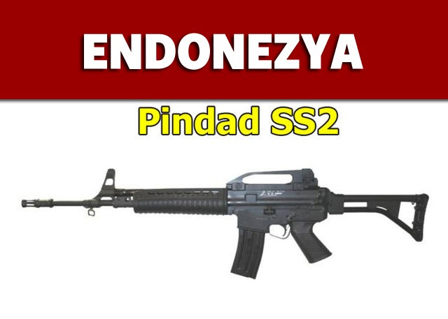 Dünyanın en güçlü ordularının kullandığı tüfekler - 36