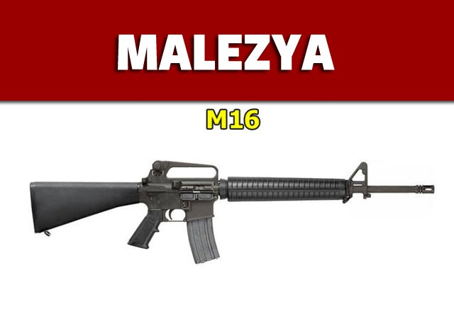 Dünyanın en güçlü ordularının kullandığı tüfekler - 54