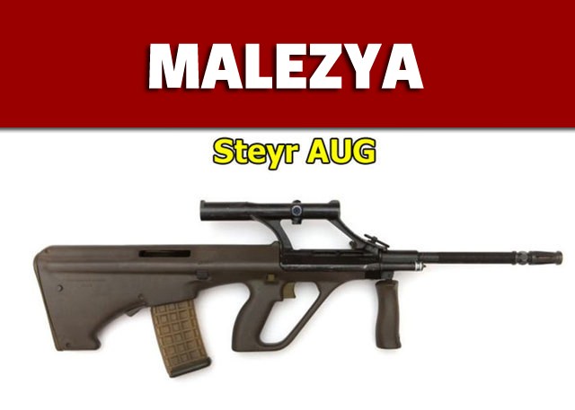 Dünyanın en güçlü ordularının kullandığı tüfekler - 55