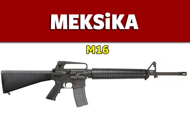 Dünyanın en güçlü ordularının kullandığı tüfekler - 60