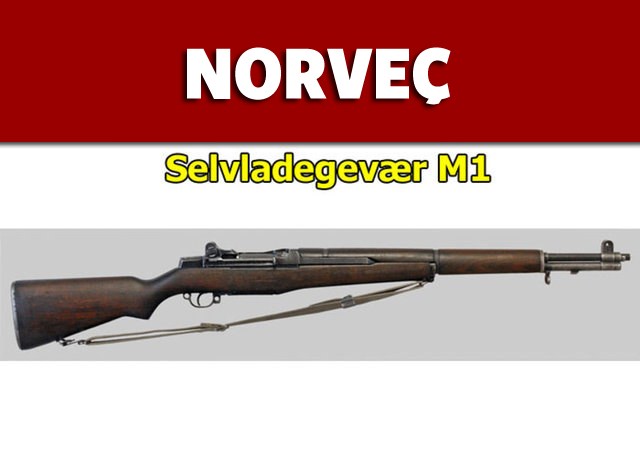 Dünyanın en güçlü ordularının kullandığı tüfekler - 64