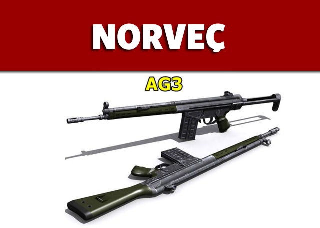 Dünyanın en güçlü ordularının kullandığı tüfekler - 65