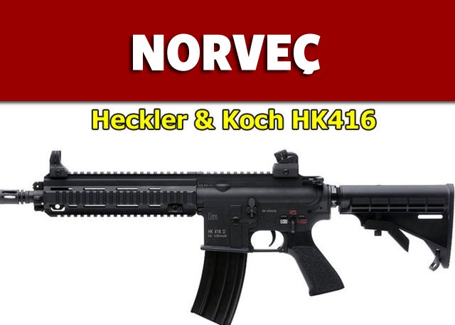 Dünyanın en güçlü ordularının kullandığı tüfekler - 66