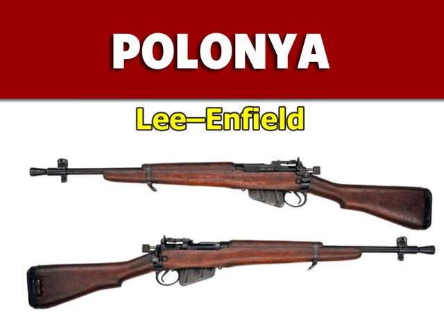 Dünyanın en güçlü ordularının kullandığı tüfekler - 68