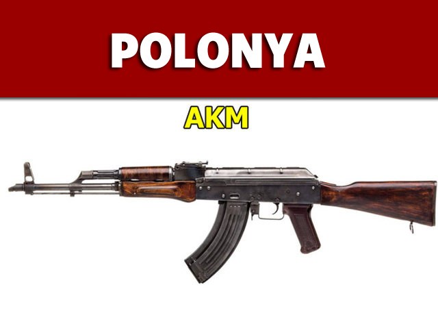 Dünyanın en güçlü ordularının kullandığı tüfekler - 70