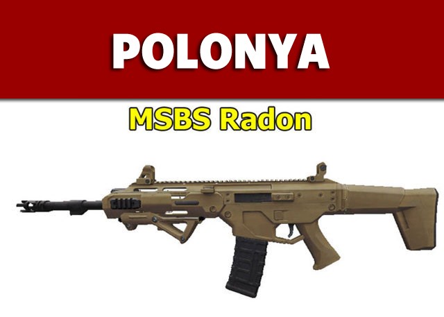 Dünyanın en güçlü ordularının kullandığı tüfekler - 72