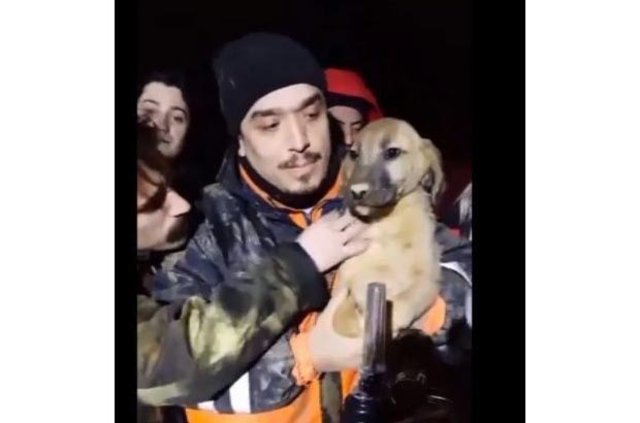 Beykoz'da kuyuya düşen köpek böyle kurtarıldı - 3