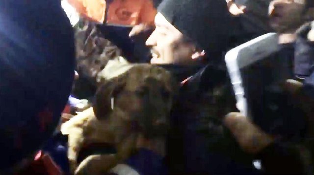 Beykoz'da kuyuya düşen köpek böyle kurtarıldı - 4