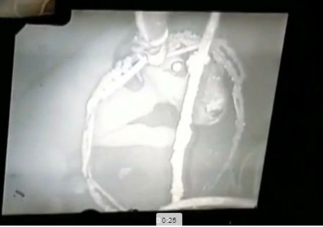 Beykoz'da kuyuya düşen köpek böyle kurtarıldı - 6