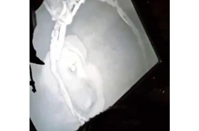 Beykoz'da kuyuya düşen köpek böyle kurtarıldı - 5