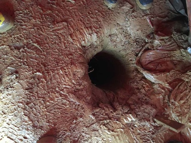 Beykoz'da kuyuya düşen köpek böyle kurtarıldı - 12