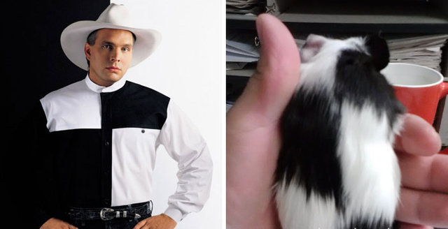 Gelmiş geçmiş kötü pişti fotoğrafları - 5