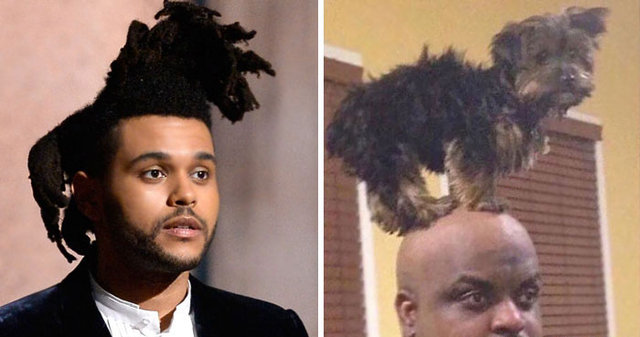 Gelmiş geçmiş kötü pişti fotoğrafları - 36