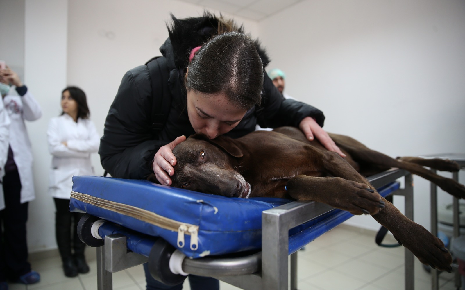 Mikro cerrahiyle köpeğin burun tümörü alındı - 8