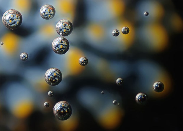 2017'nin en iyi sualtı fotoğrafları seçildi - 6