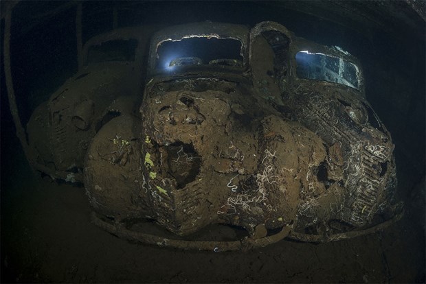 2017'nin en iyi sualtı fotoğrafları seçildi - 21