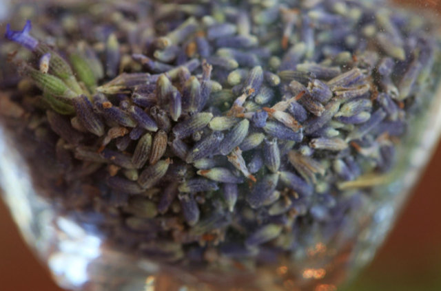 Böceklerden kurtulmanın doğal yolları - 8