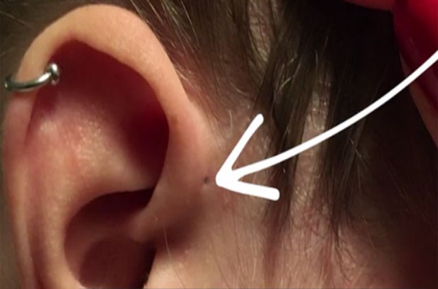 İnsan kulağının üzerinde yer alan delik nedir? - 9