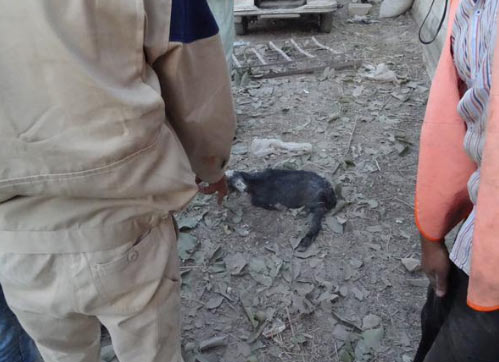 Esed güçleri yine sivilleri vurdu - 851