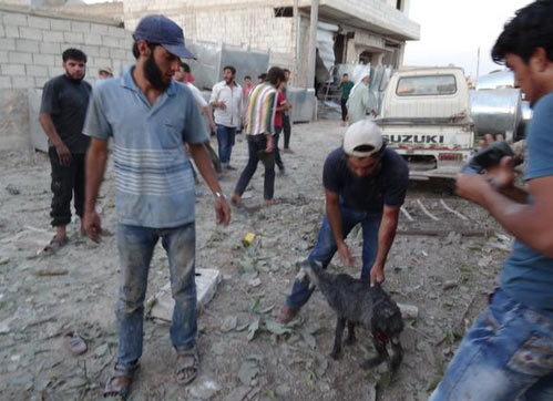 Esed güçleri yine sivilleri vurdu - 823