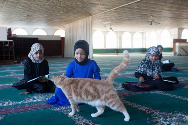 Güney Afrika ve medrese kültürü - 12