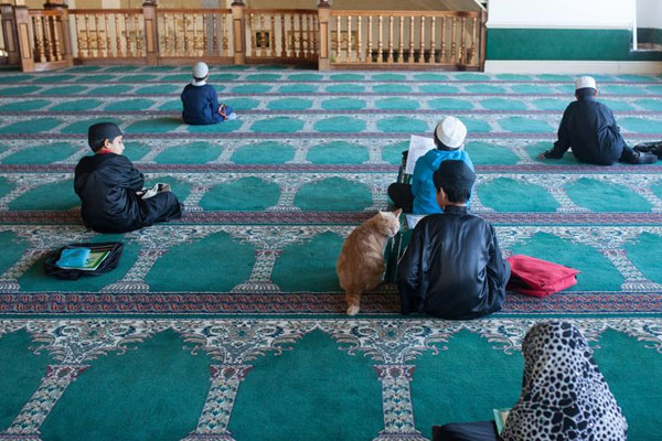 Güney Afrika ve medrese kültürü - 17