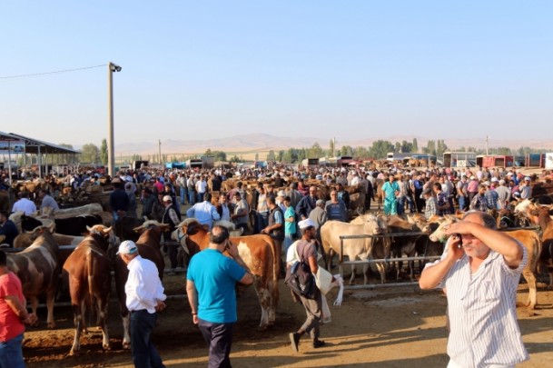 'Kurbanlık temininde sıkıntı yok' - 722