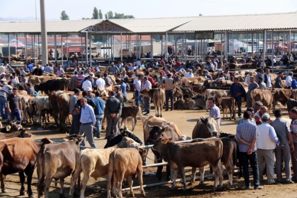 'Kurbanlık temininde sıkıntı yok' - 757