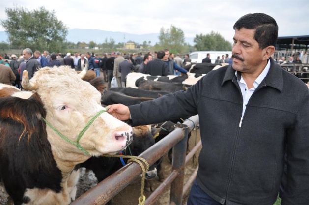 Kurbanlık almanın püf noktası - 3