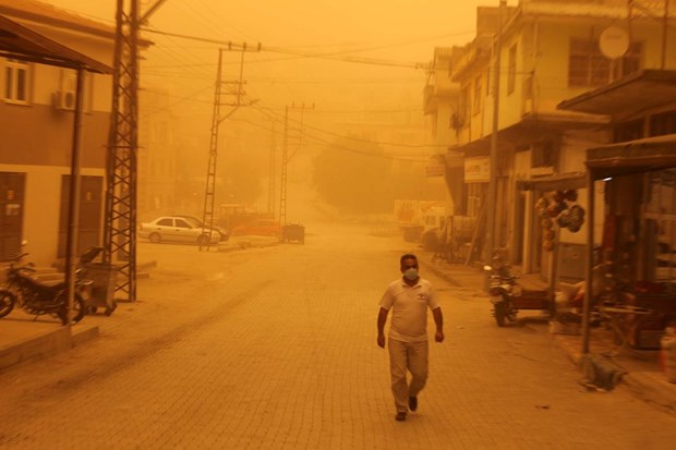 Hatay ve Gaziantep sarıya büründü - 5