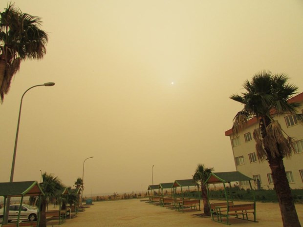 Hatay ve Gaziantep sarıya büründü - 4