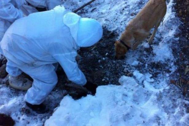 TSK'nın PKK operasyonları - 23