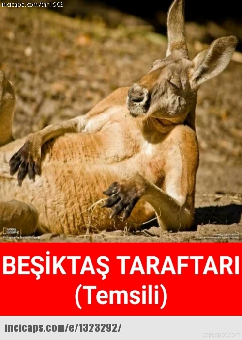 Galatasaray-Beşiktaş derbisi sonrası capsler patladı - 29