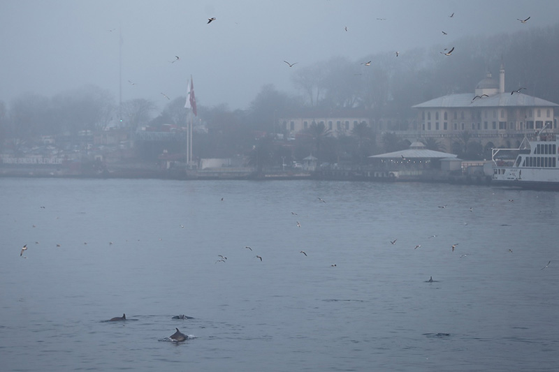 İstanbul’dan sis manzaraları - 28