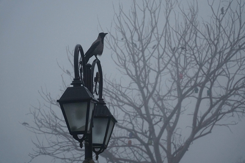 İstanbul’dan sis manzaraları - 38