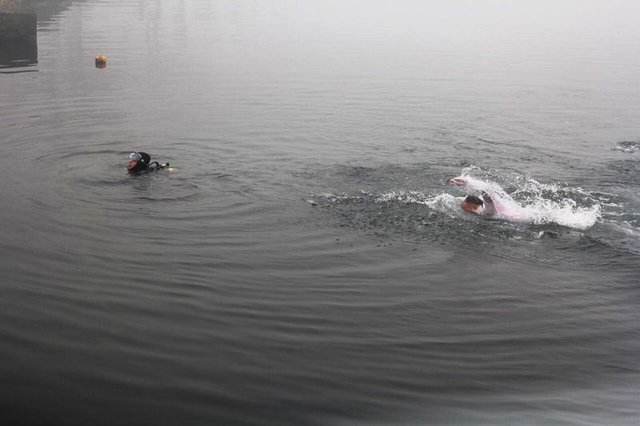 Kocaeli'de belediye başkanı bir anda denize atladı! - 3
