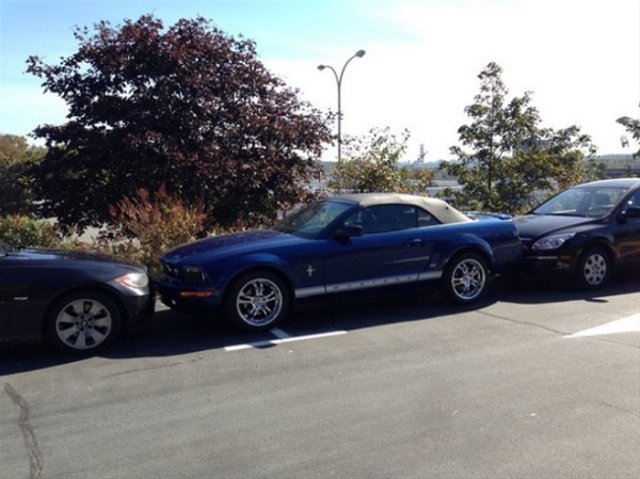 Belediye başkanının alanına park edince... - 21