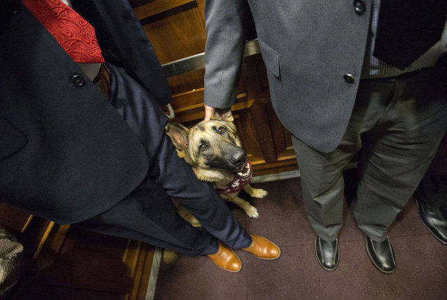 Metroya düşerseniz ne yapmanız lazım? - 12