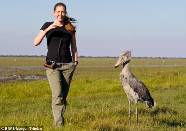 Gözlerinize inanamayacaksınız! Taş Devri'nden gelmiş gibi! - 5
