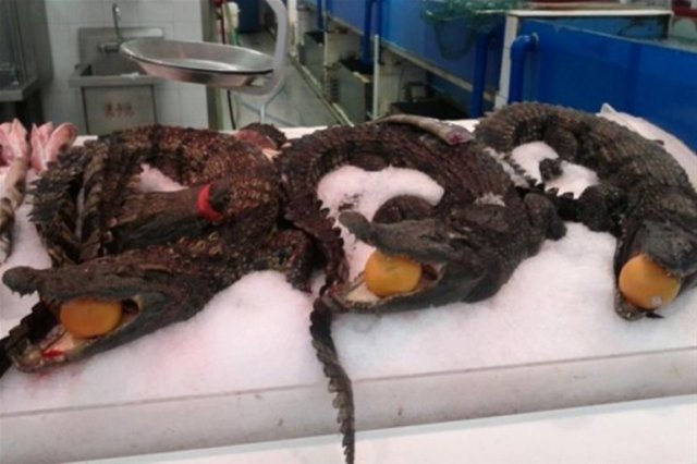 Gariplikler ülkesi Çin - 2