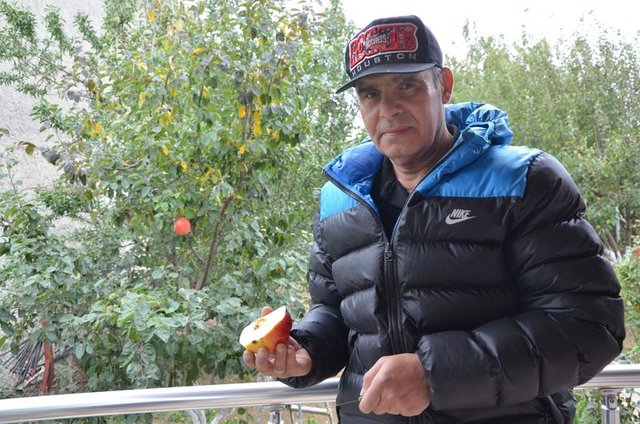 Ayva diye dikti...7 yıl sonra gördüklerine inanamadı! - 1