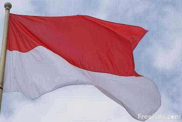 Hollanda ve Almanya'da kaç Türk yaşıyor? - 26