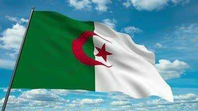 Hollanda ve Almanya'da kaç Türk yaşıyor? - 49