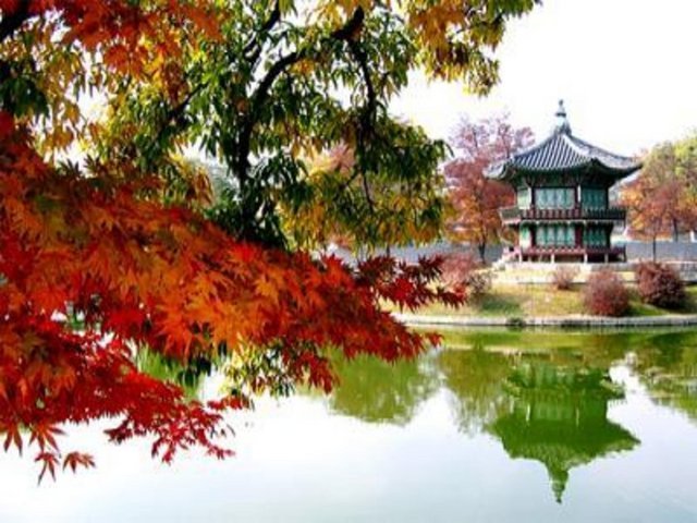 Ukrayna'ya pasaport ve vizesiz seyahat resmen başladı - 33