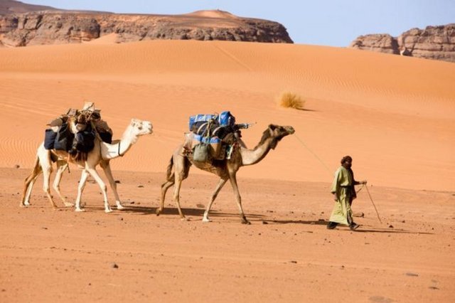Ukrayna'ya pasaport ve vizesiz seyahat resmen başladı - 37