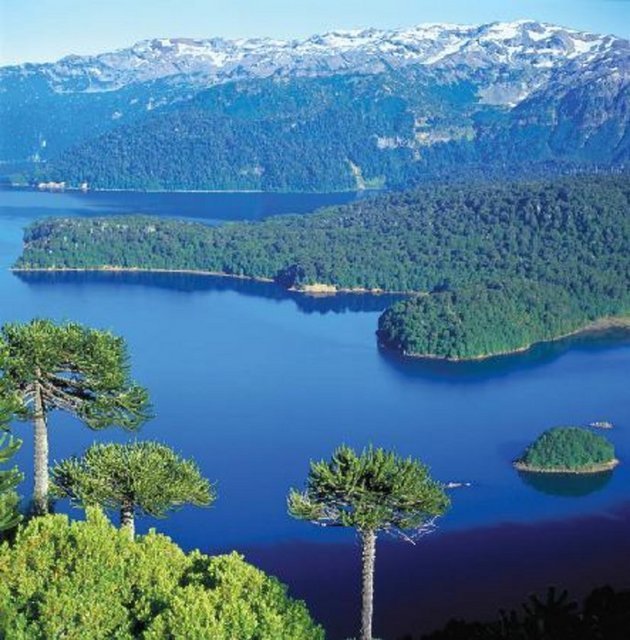 Ukrayna'ya pasaport ve vizesiz seyahat resmen başladı - 56