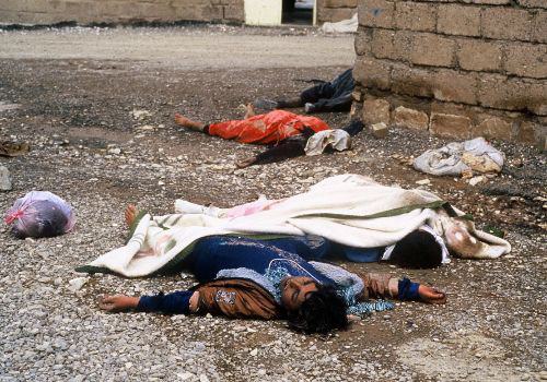 Halepçe katliamının 29. yıldönümü - 12