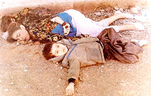 Halepçe katliamının 29. yıldönümü - 13